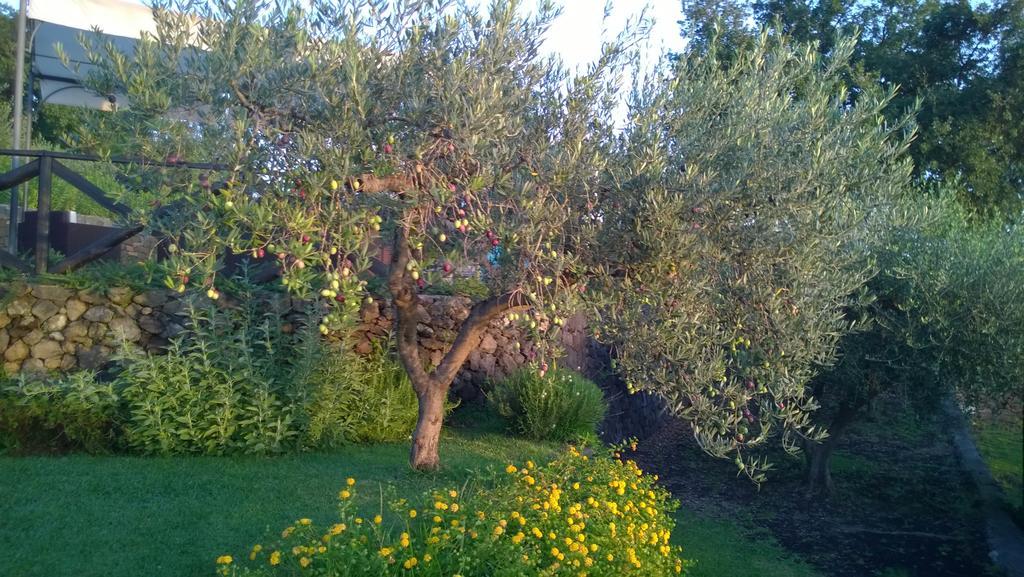 Seacily Etna House Villa Piedimonte Etneo Bilik gambar