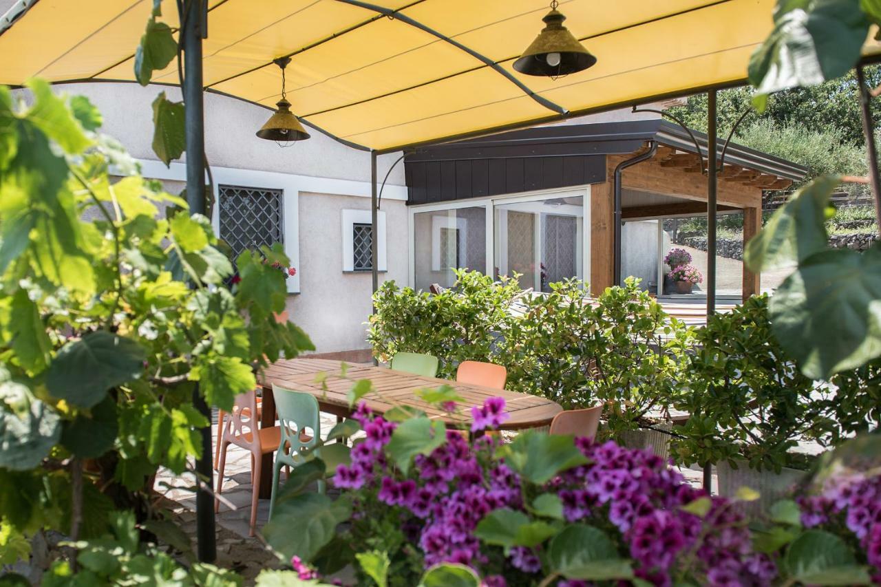 Seacily Etna House Villa Piedimonte Etneo Luaran gambar